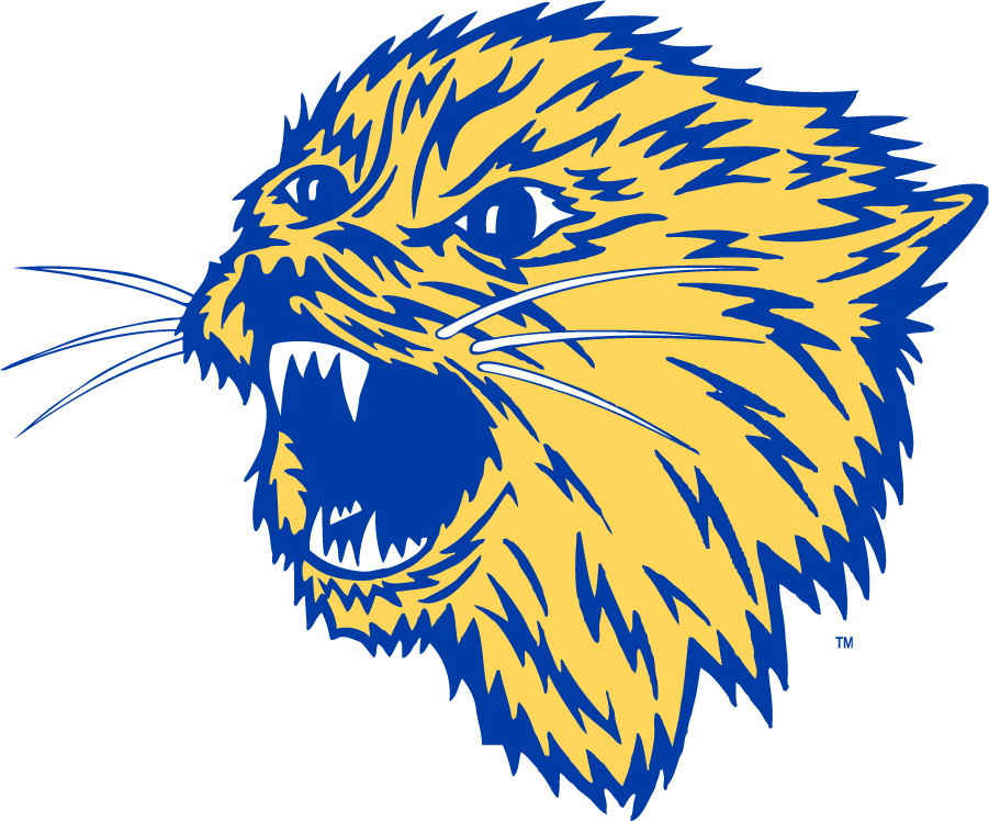 Montana State Bobcats 1965-1995 Secondary Logo DIY iron on transfer (heat transfer)